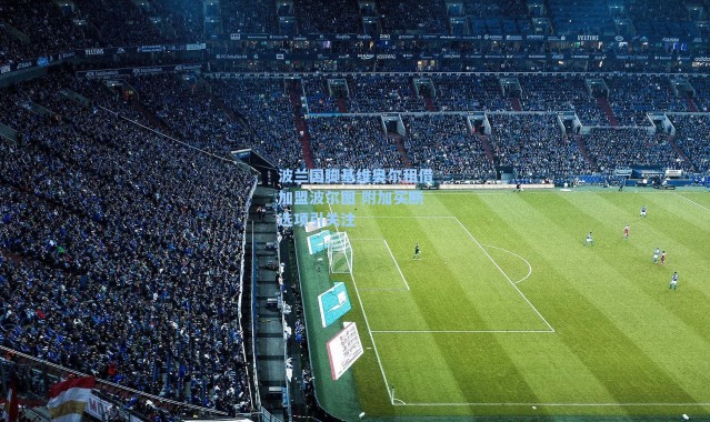 波兰国脚基维奥尔租借加盟波尔图 附加买断选项引关注