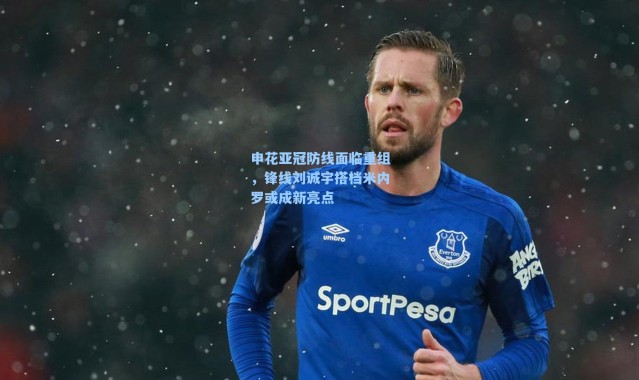 申花亚冠防线面临重组，锋线刘诚宇搭档米内罗或成新亮点