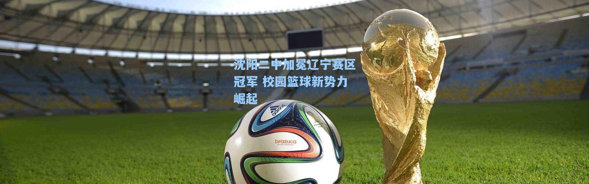 沈阳二中加冕辽宁赛区冠军 校园篮球新势力崛起