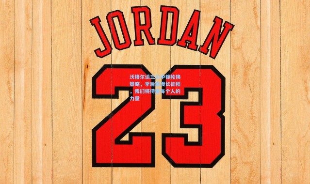 沃格尔谈三位中锋轮换策略，季后赛漫长征程，我们将倚重每个人的力量