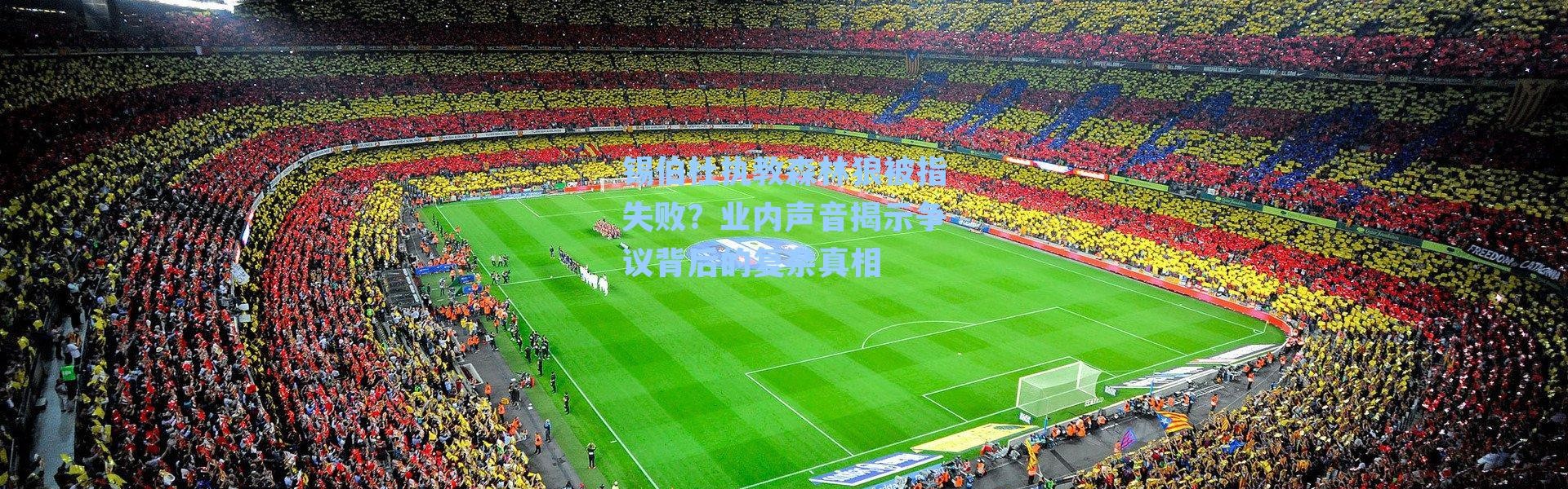 锡伯杜执教森林狼被指失败？业内声音揭示争议背后的复杂真相