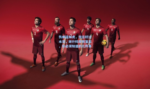 伤病猛如虎，但总好过水货，谢什科即将复出，你必须知道的几件事