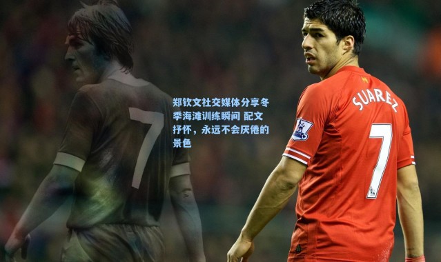 郑钦文社交媒体分享冬季海滩训练瞬间 配文抒怀，永远不会厌倦的景色