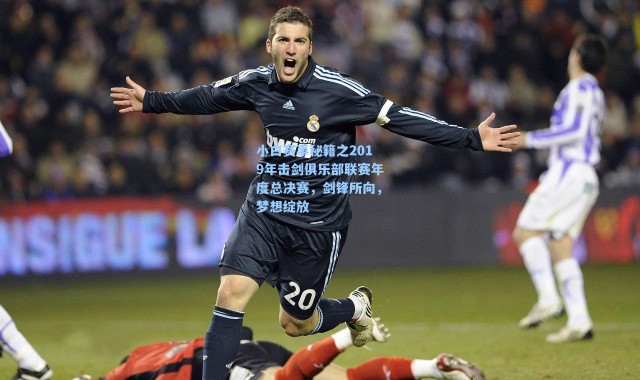 小白赛事秘籍之2019年击剑俱乐部联赛年度总决赛，剑锋所向，梦想绽放