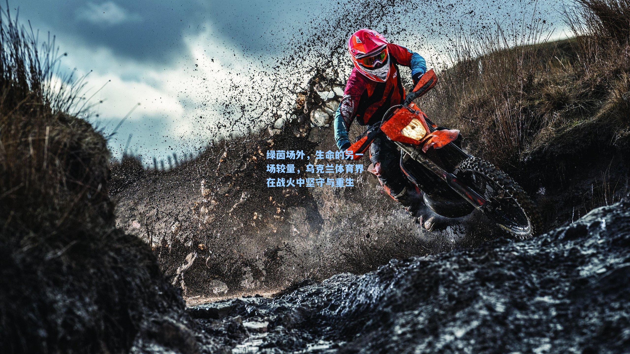 绿茵场外,生命的另一场较量,乌克兰体育界在战火中坚守与重生